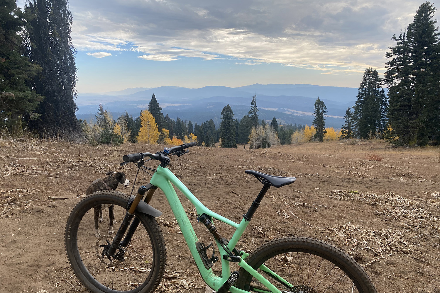 SkiID Summer2023 Brundage sm