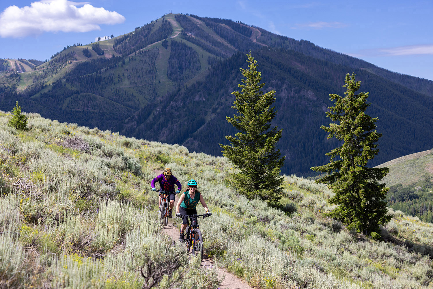 Two mountain bikers ride a singletrack trail at Sun Valley in Idaho, with forested slopes and ski runs visible on the mountain behind them.