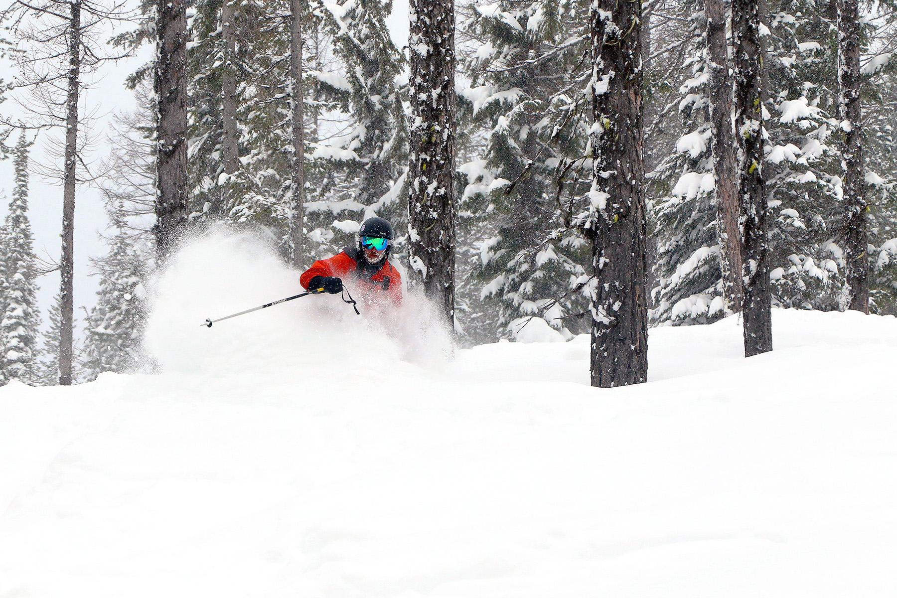 Powder glades at Lookout Pass