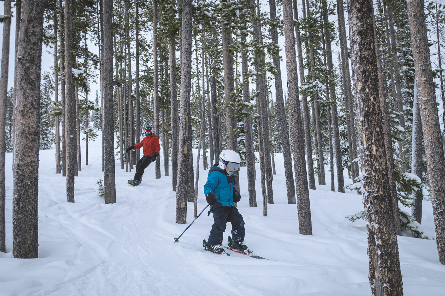 Skiing the glades at Lost Trail
